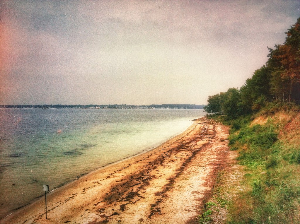 Scar of seagrass