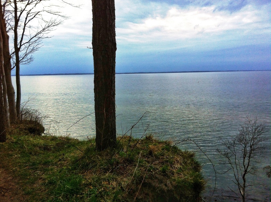 Silent sea behind the tree