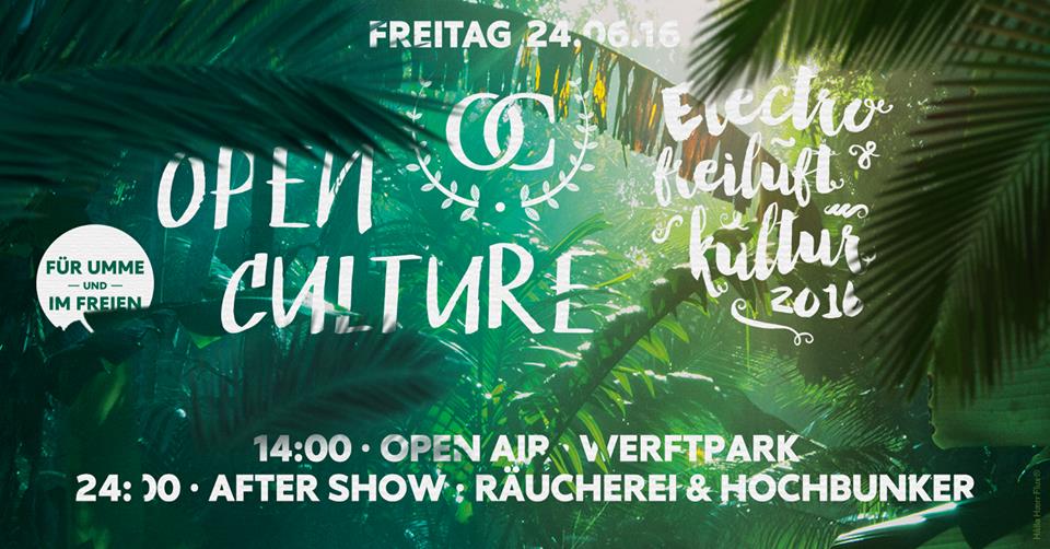 Open Culture und Elektrofreiluftkultur im Werftpark