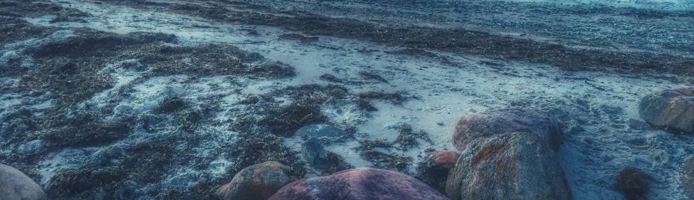 A pink stone is dreaming on the beach