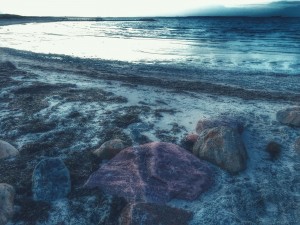 A pink stone is dreaming on the beach