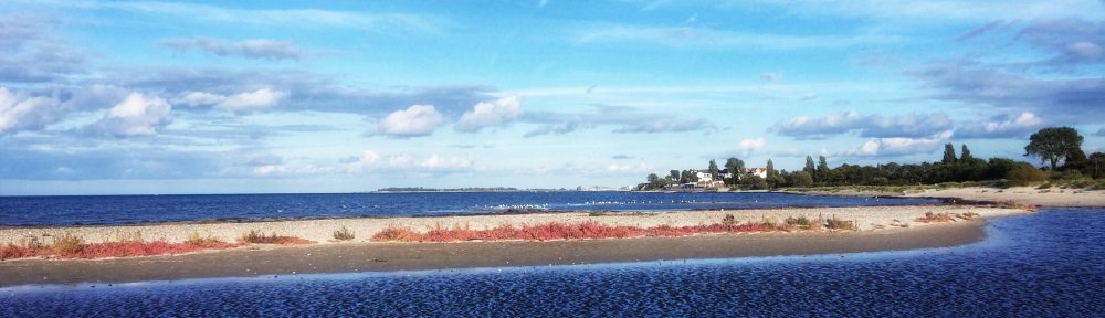 Autumn colours of the Baltic Sea