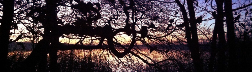 last light on the lake