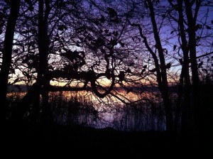 last light on the lake