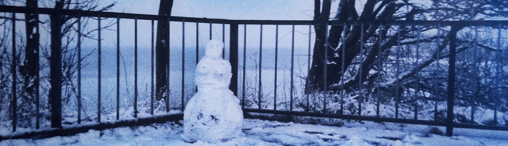 The day before yesterday we meet a snowwoman near the beach