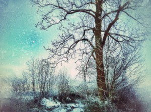 Moon over frozen Landscape