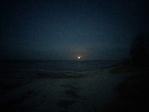 Moonrise of December's full moon