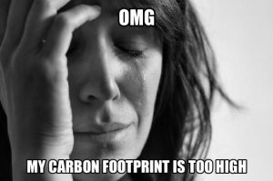 OMG my carbon footprint is too high (#FirstWorldProblems)