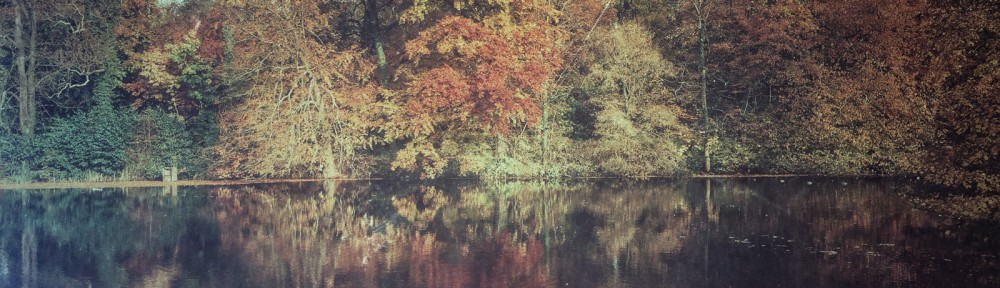 The surface of the autumn reflections