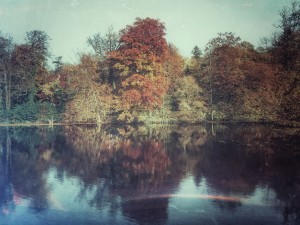 The surface of the autumn reflections