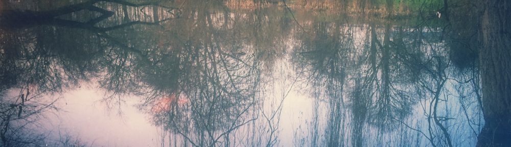 Under the weeping willow