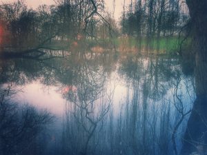 Under the weeping willow