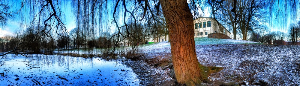 Under the willow